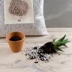 Radis et Capucine - Sac de Perlite - 5 L - MEDIA_EN_SITUATION_1